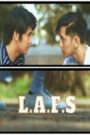 L.A.F.S. (Love At First Sight)